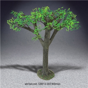 Old Growth Oak Tree, Summer