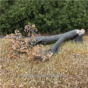 Fallen Old Growth Tree with Stump