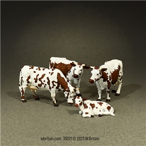 Brown Randall Lineback Cows