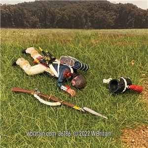 French Imperial Guard Casualty