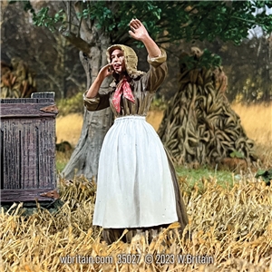 "Virgil! Quick Come See!" 1860s Woman Shouting