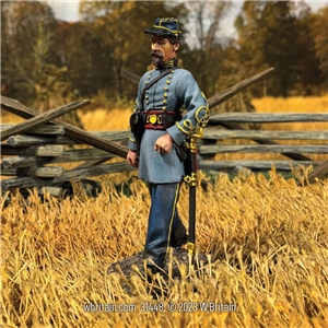 Confederate Infantry Officer