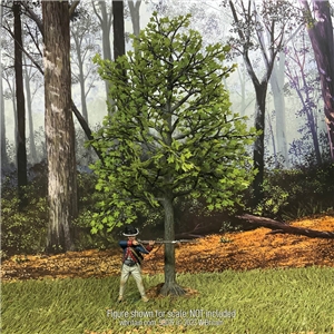 10" Maple Tree, Summer