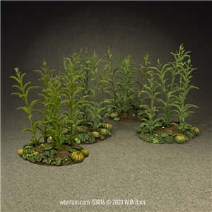 18th-19th Century Corn