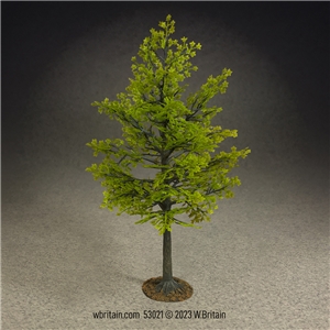 11" Maple Tree, Summer