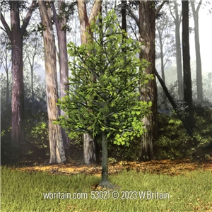 11" Maple Tree, Summer