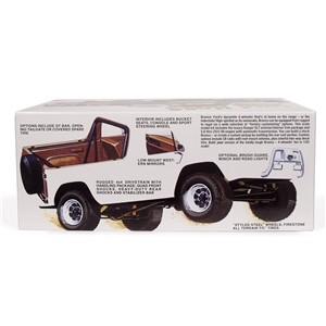 1978 Ford Bronco 4x4 "Wild Hoss"