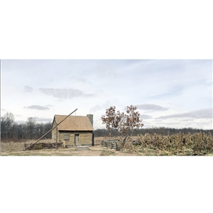 American Frontier Settlement, 18th / 19th Century Backdrop
