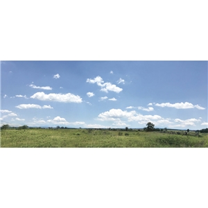 Gettysburg - Federal Line, 3rd Day Scenic Backdrop 31" x 13"