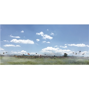 Double Canister Confederates Charge at Close Quarters Backdrop 31"x13"