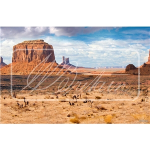 B51078 Go West Mini Back Drop (8.5" x 5.5" / 21.6 x 14cm)