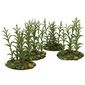 18th-19th Century Corn