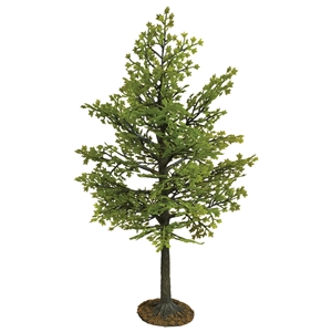 10" Maple Tree, Summer