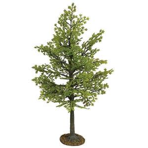 11" Maple Tree, Summer