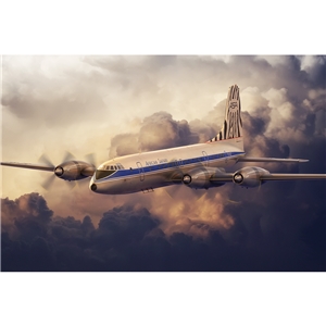 Bristol 175 Britannia African Safari
