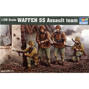 Waffen SS Assault Team