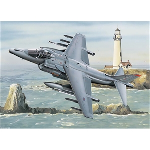 PKTM02287 Harrier GR7 RAF