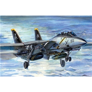 F-14B Tomcat (Bombcat)