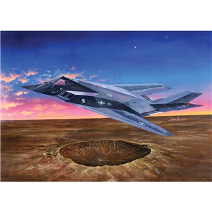 PKTM03219 F-117A Nighthawk