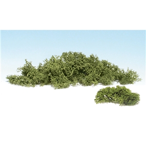 WL161 Spring Green Lichen