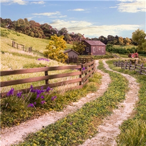 Scenic Accents Fences