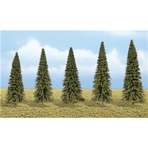 Evergreen Trees