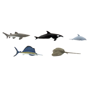 Marine Life