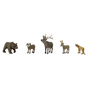North American Wildlife